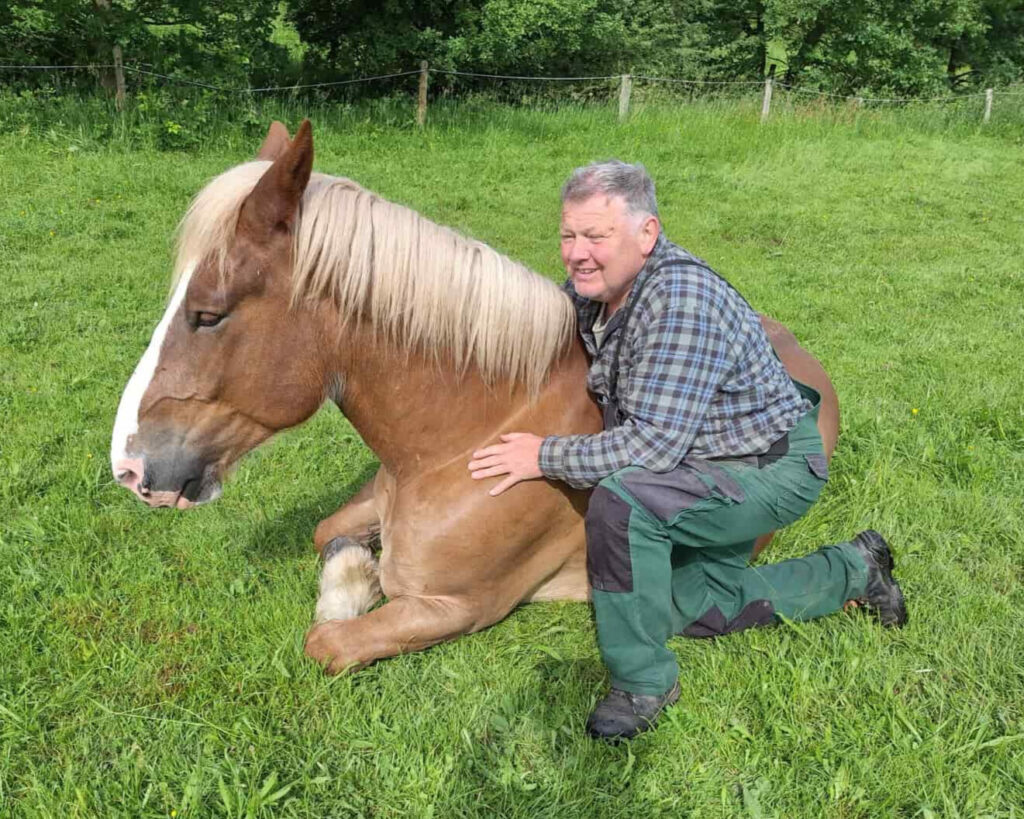 liegendes pferd wird von mann umarmt